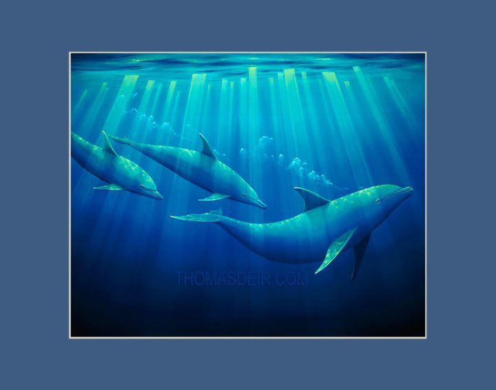 dolphins gift print Emerald Forest